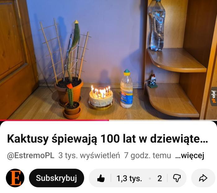 Niech żyje nam!