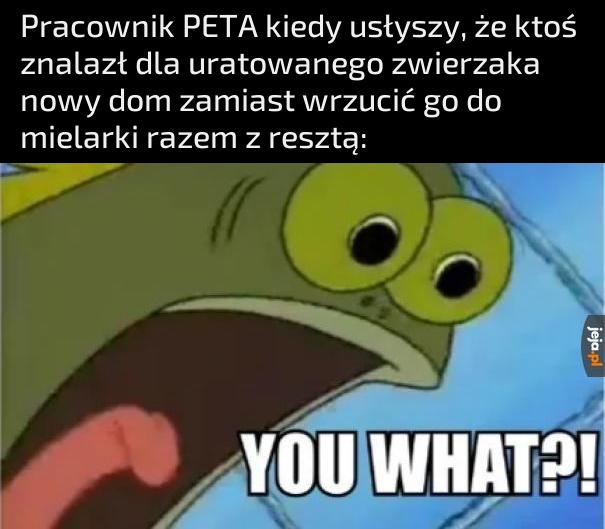Ewentualnie wysadzić w mikrofalówce