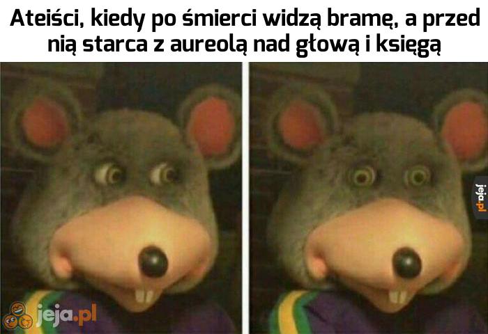 O jasny Darwinie...