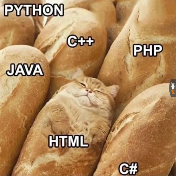 HTML kot