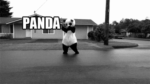 Panda, panda, panda.... ?!
