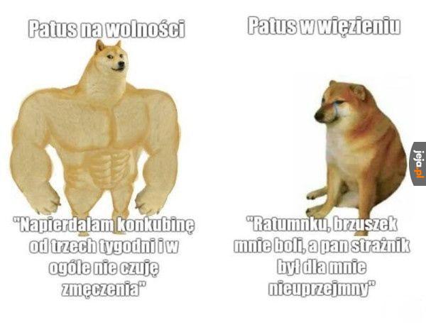 Dwa wymiary patusa