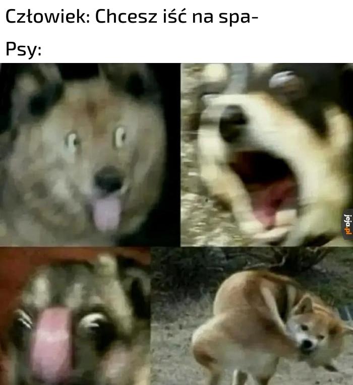 TAK