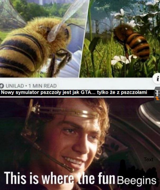 Pszczoły, co o nich sądzicie?