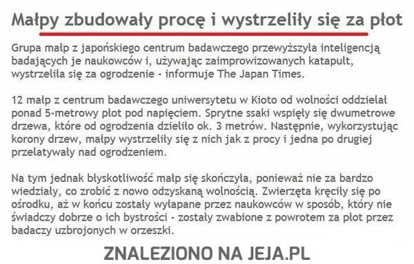 Widzieliście Planetę Małp?