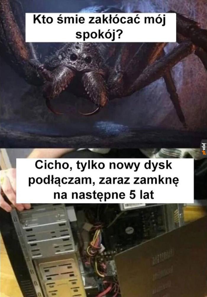 Żyjemy w symbiozie