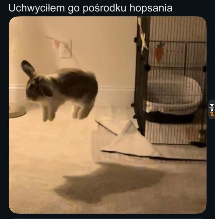 Po tym poznasz dobrego fotografa