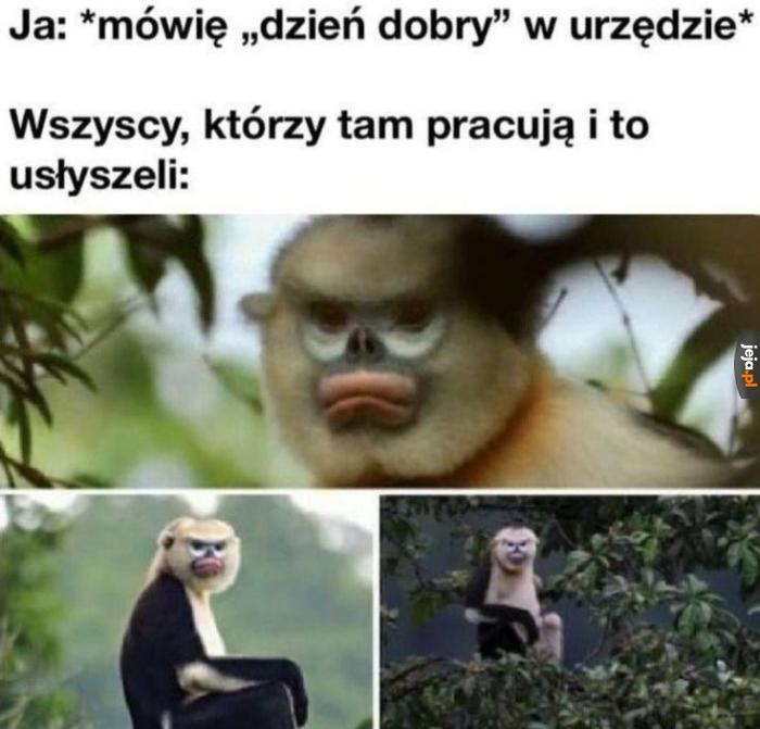 *odgłos odstawianej kawusi i odkładanej drożdżóweczki