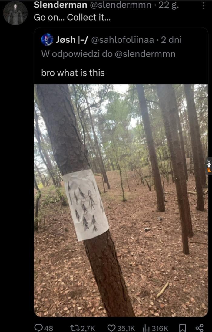 No śmiało