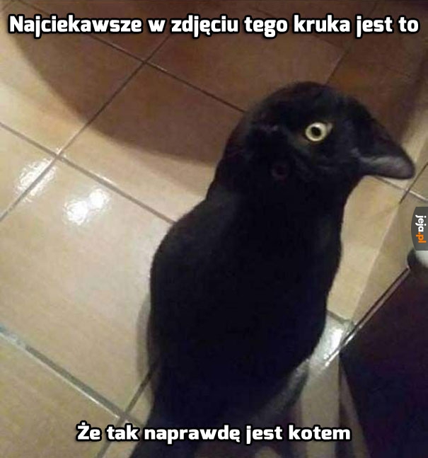 Ciekawy przypadek