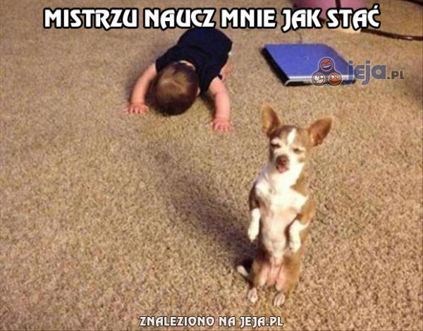 Mistrzu naucz mnie jak stać