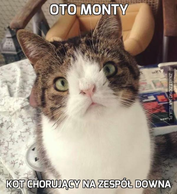 Oto Monty