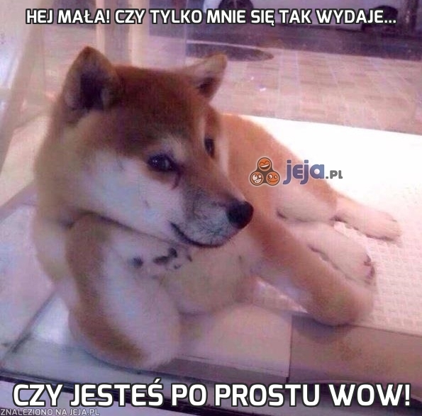 Hej mała! Czy tylko mnie się tak wydaje...