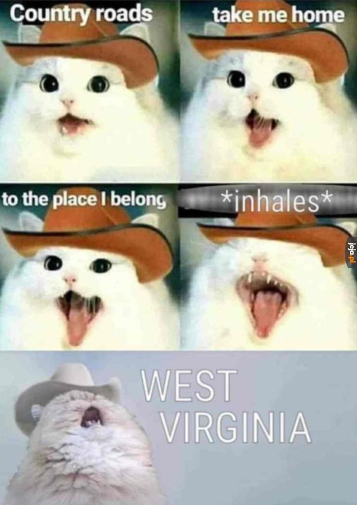 Dobra nutka