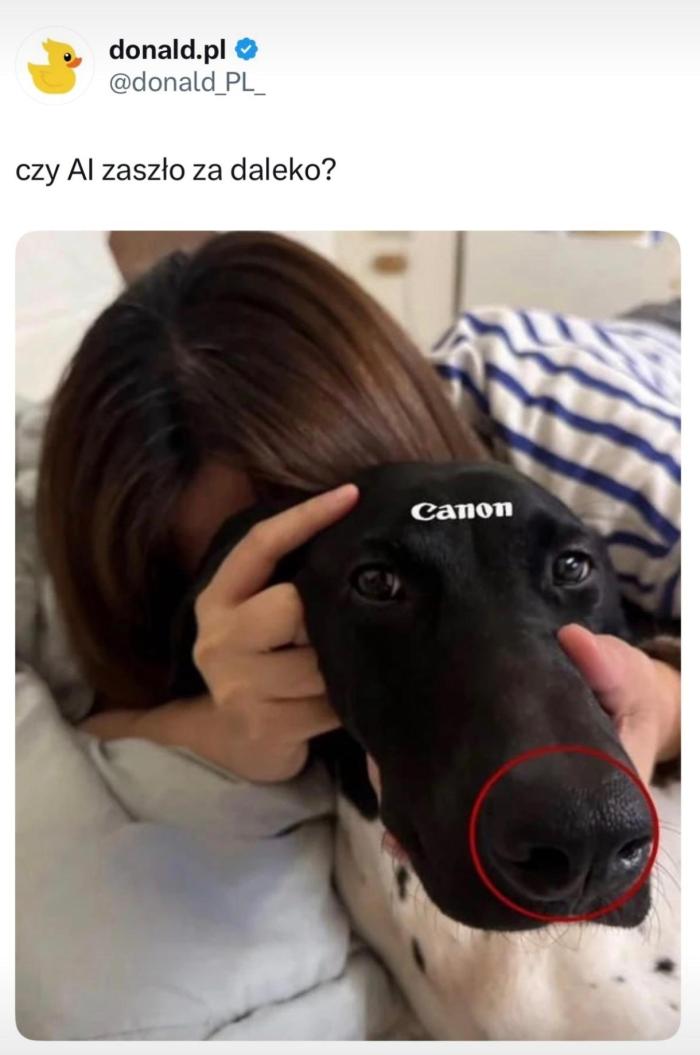 Daj na zrzutke