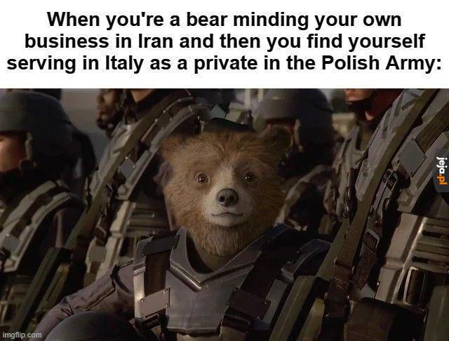 Jedyny miś w swoim rodzaju
