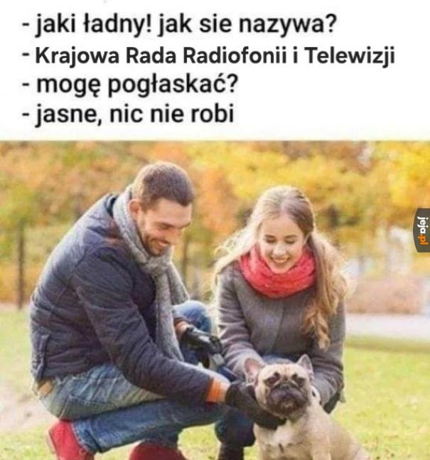 Nic nie robi