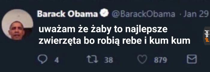 Żaby są super