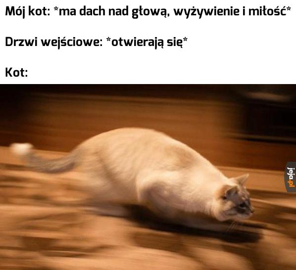 Szybko! Ku wolności!