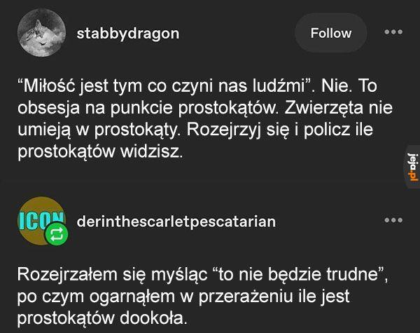 Ludzie kochają prostokąty, rozejrzyj się