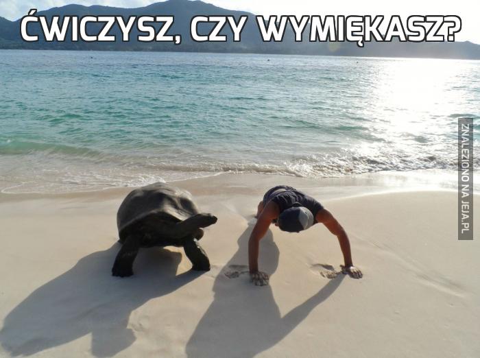 Ćwiczysz, czy wymiękasz?