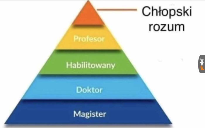 Top level