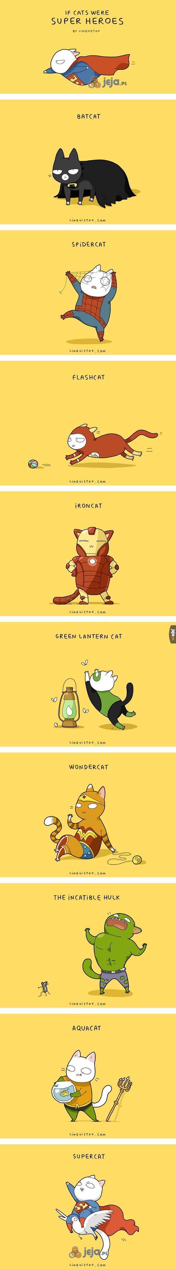 Gdyby koty były superbohaterami...
