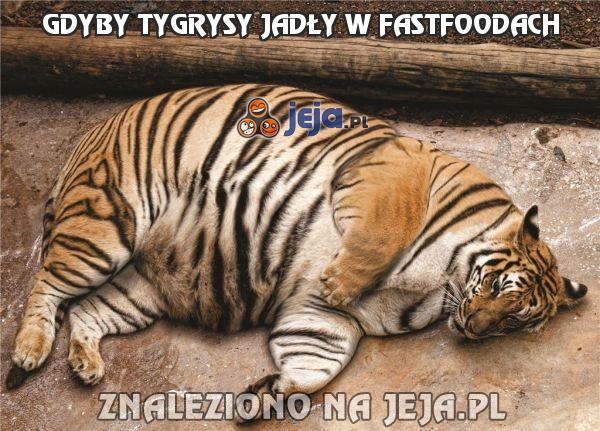 Gdyby tygrysy jadły w fastfoodach