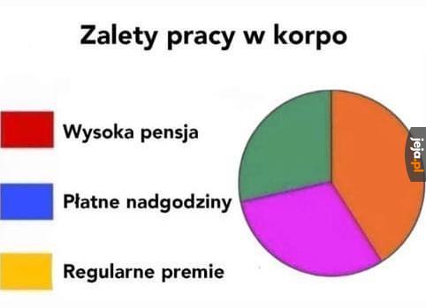Nic tylko pracować
