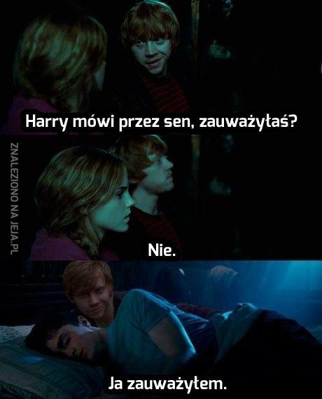 Co tam u Harry'ego?