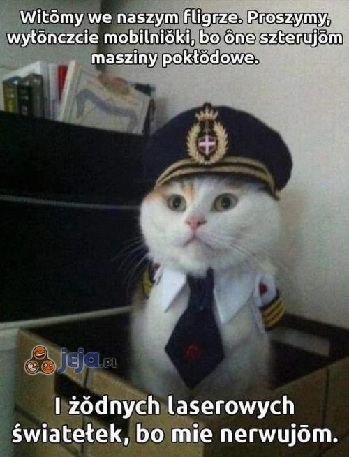 Koteł pilotem