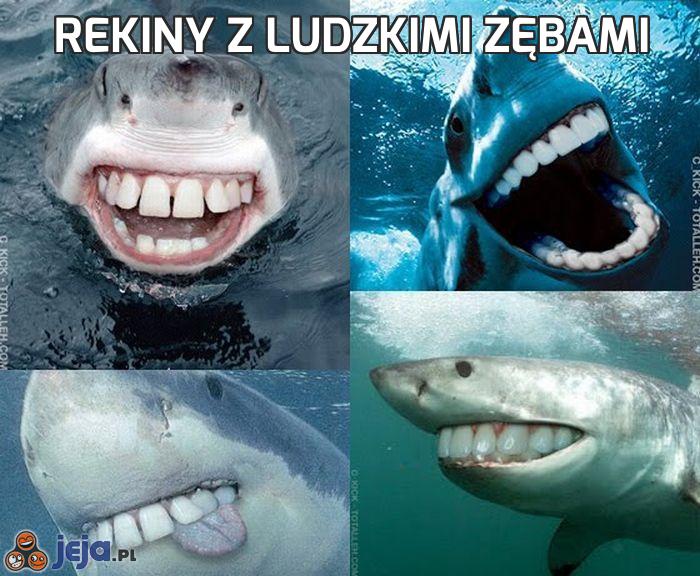 Rekiny z ludzkimi zębami