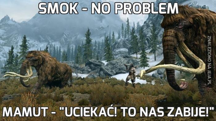 Smok - No problem