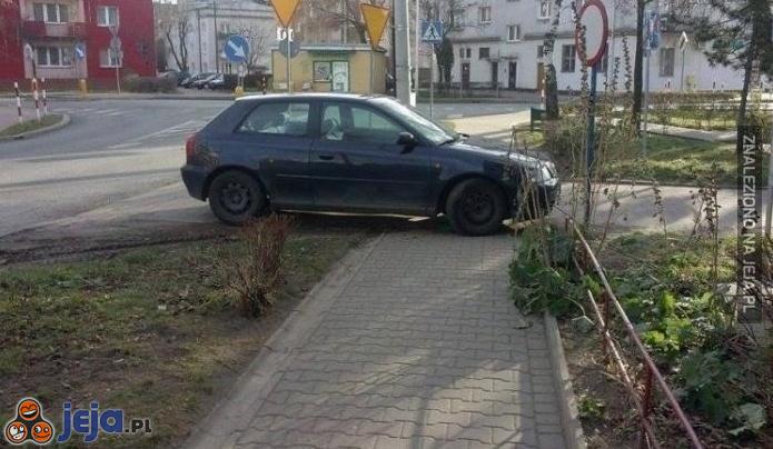 Mistrz parkowania