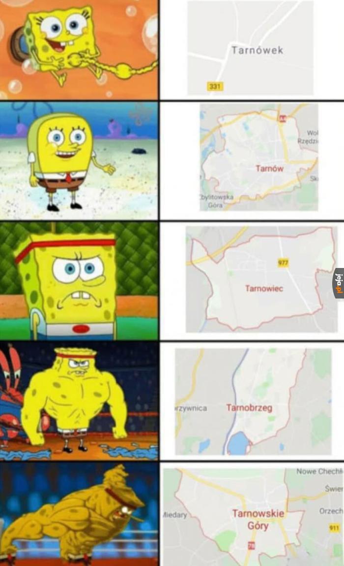 Wzrost potęgi