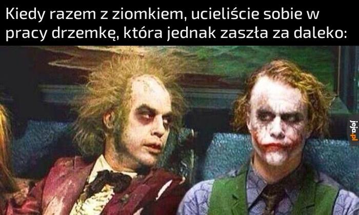 I weź tu teraz wróć do tego, co robiłeś