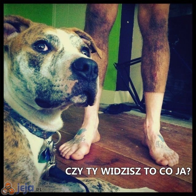 Czy Ty widzisz to co ja?