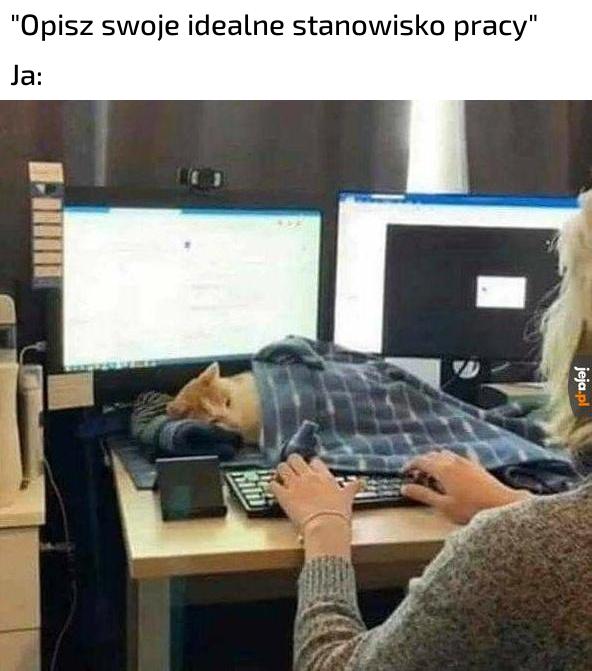 Cały czas widzisz, dla kogo to robisz