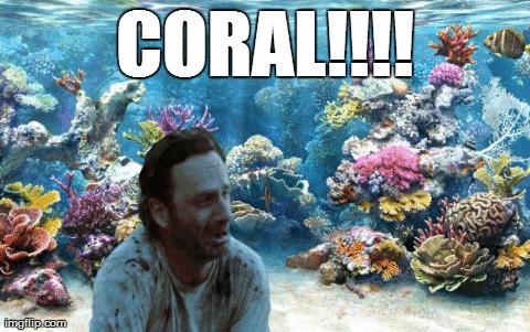 Coral, gdzie jesteś?!