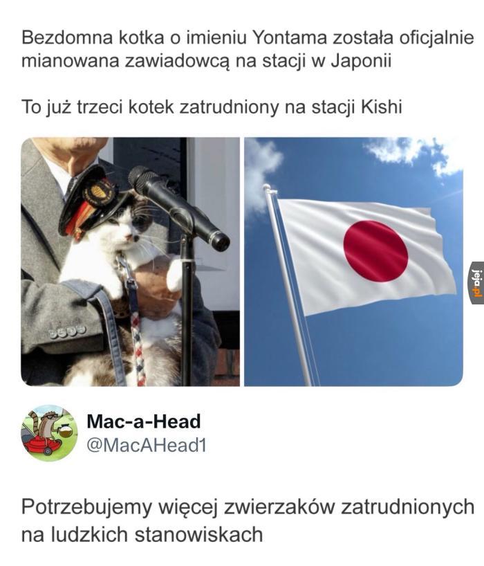 Świat od tego zdrowieje