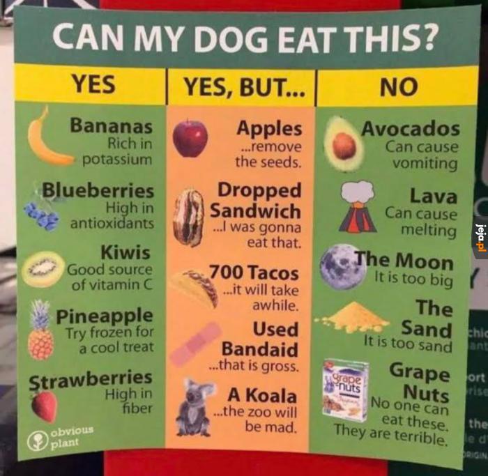 Czy mój pies może to jeść?