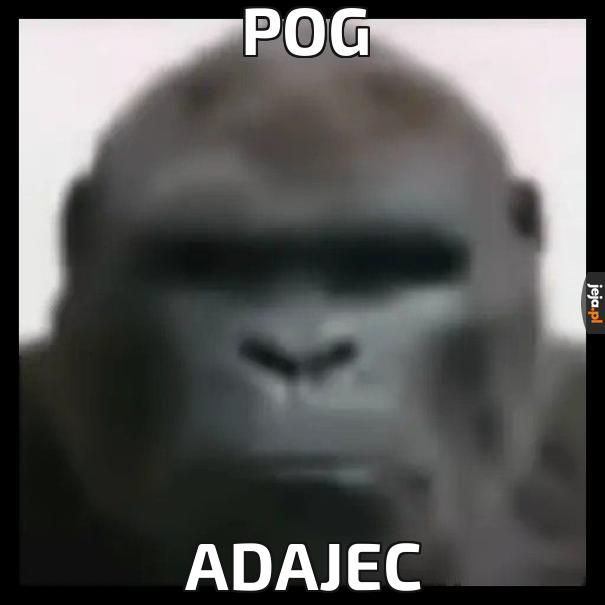 Pog