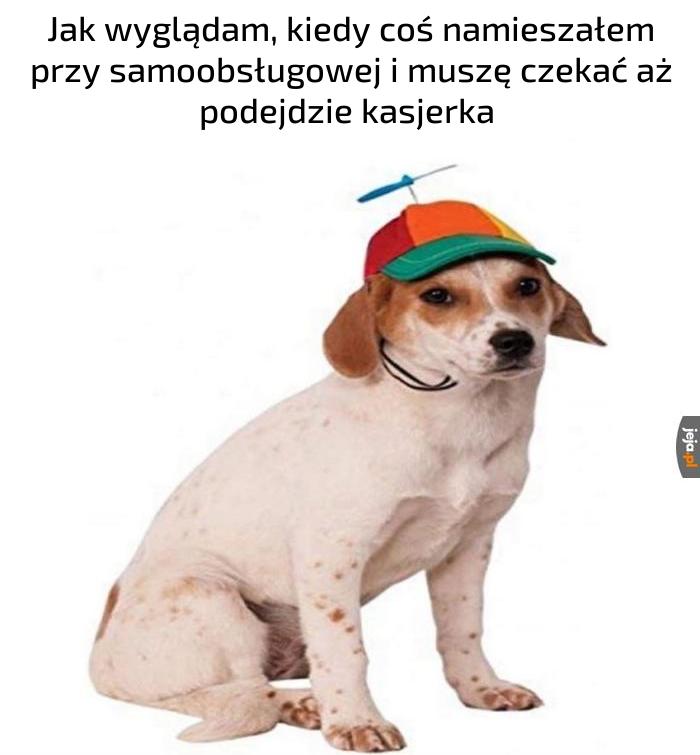 Upsik