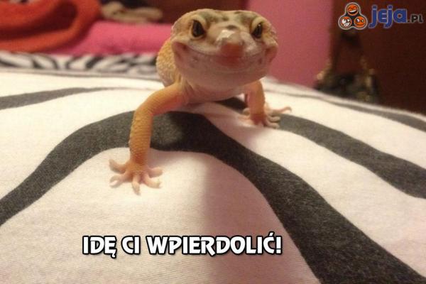 Jaszczurka idzie Ci...