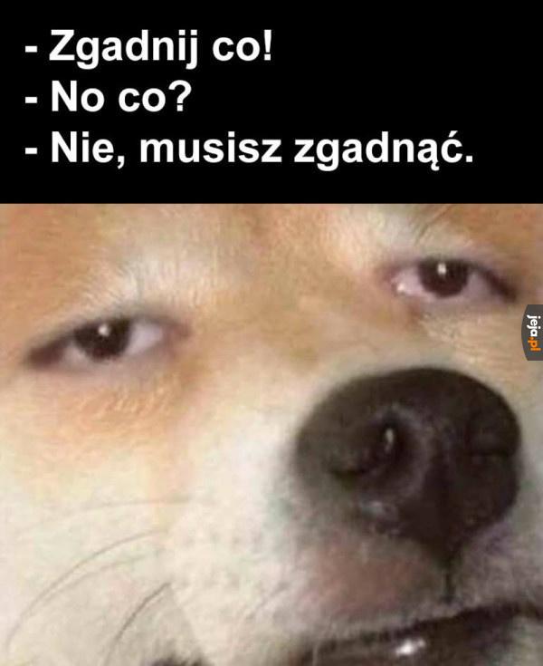 Nie męcz mnie, człowieku