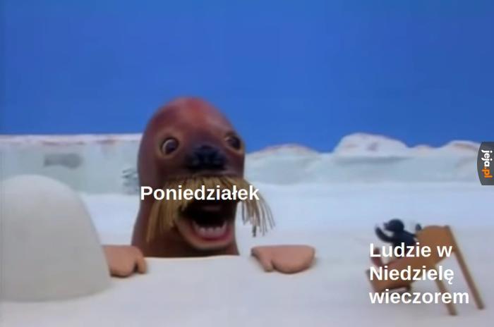 Pingu posting