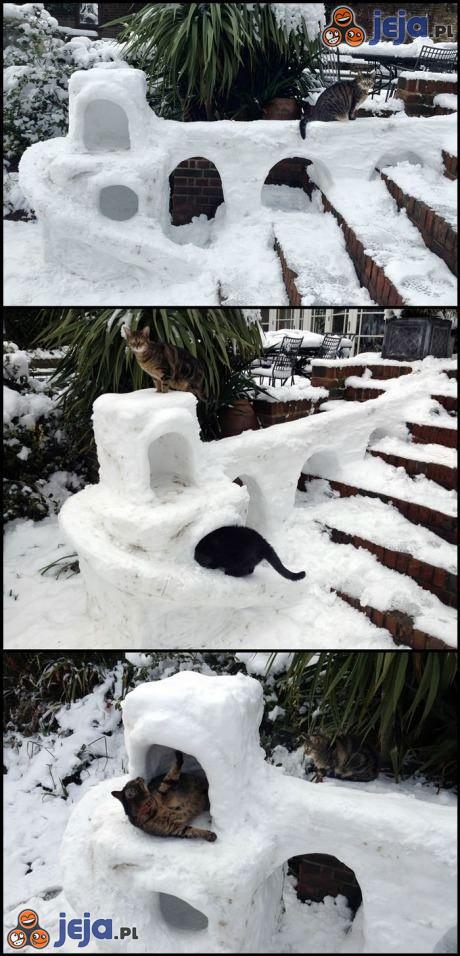 Śniegowy fort dla kota
