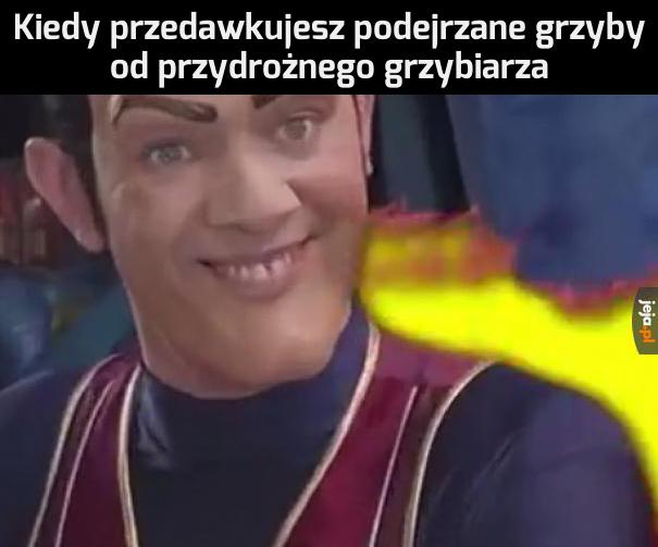 Ale faza