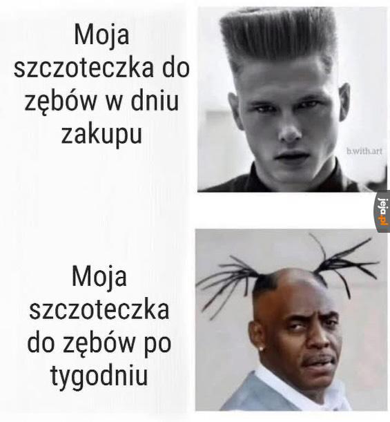 Rel