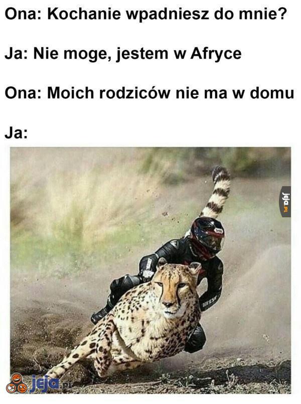 Pędzę!